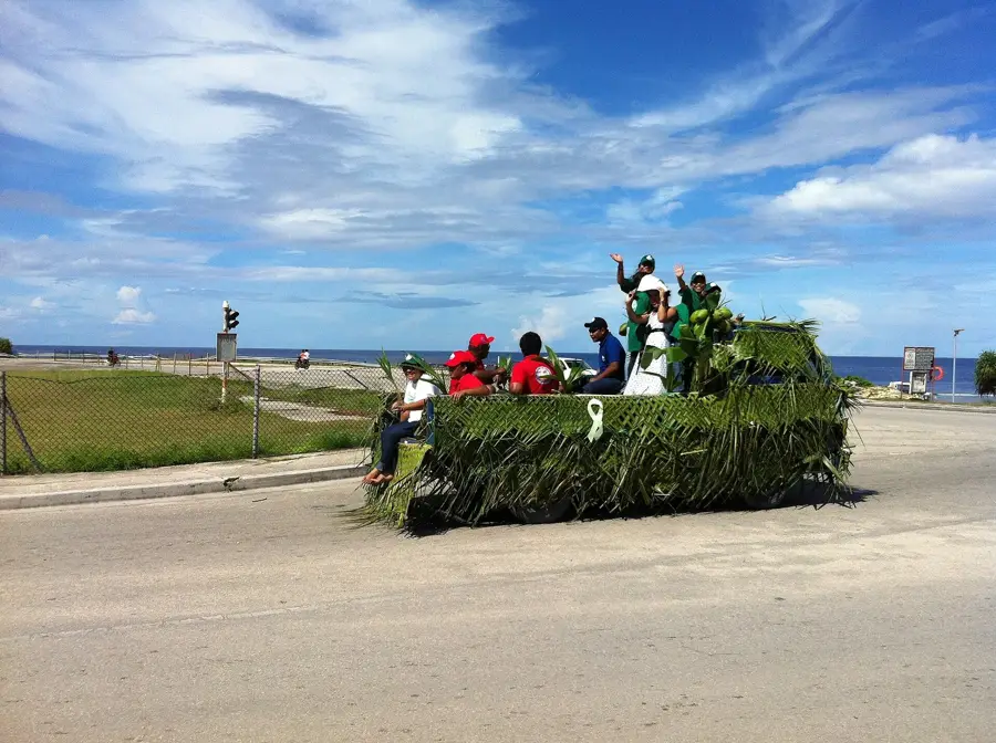 Corporația de Utilități Nauru (NUC) — Flora din Boe (Nauru)
