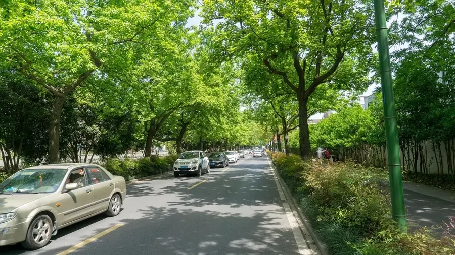 Yaren Greenbelt