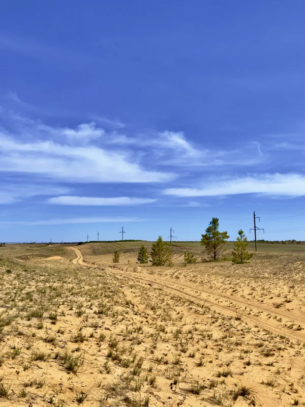 Naturreservat Naurzum