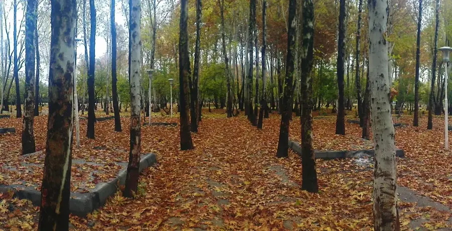 Nazchwan-Waldpark