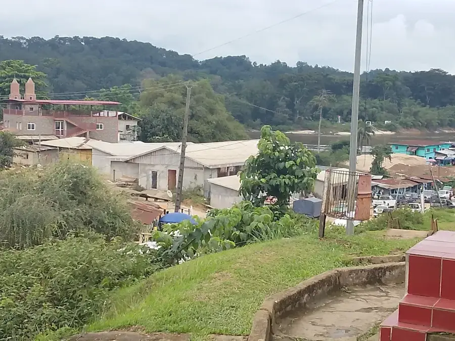 Ndjolé