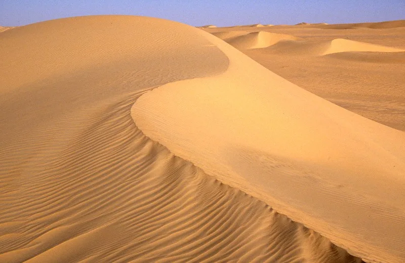 Monumentul Arbre du Ténéré — Bilma (Niger)