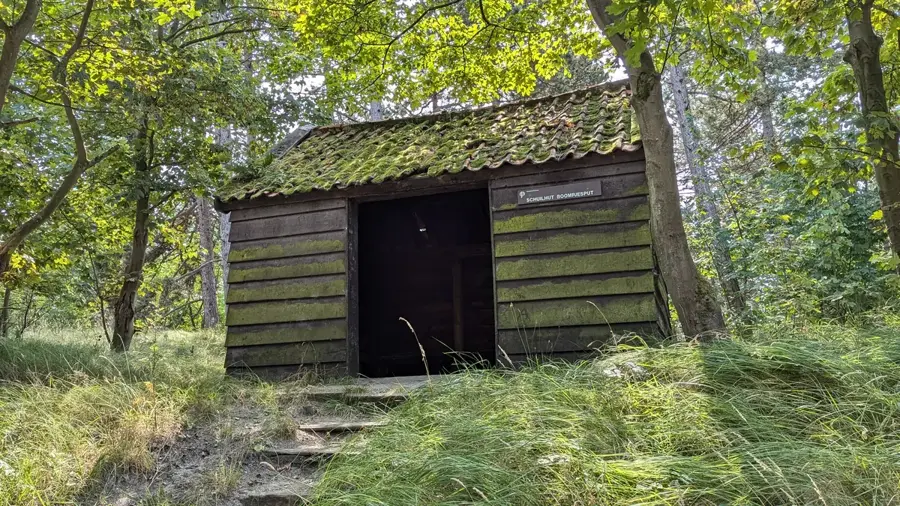 Boswachterij Westerschouwen – Wald