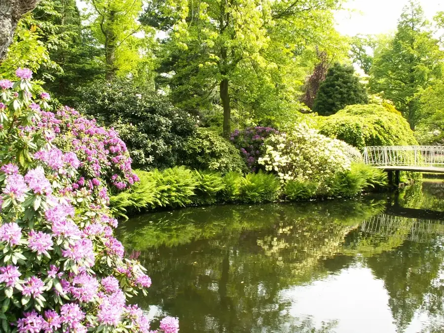 Botanischer Garten Arboretum Trompenburg