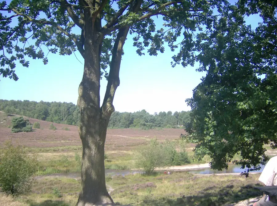 Brunssum — Maastricht (Olanda)