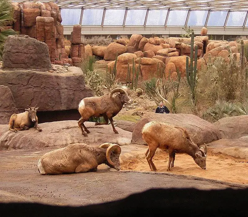 Grădina Zoologică Burgers'
