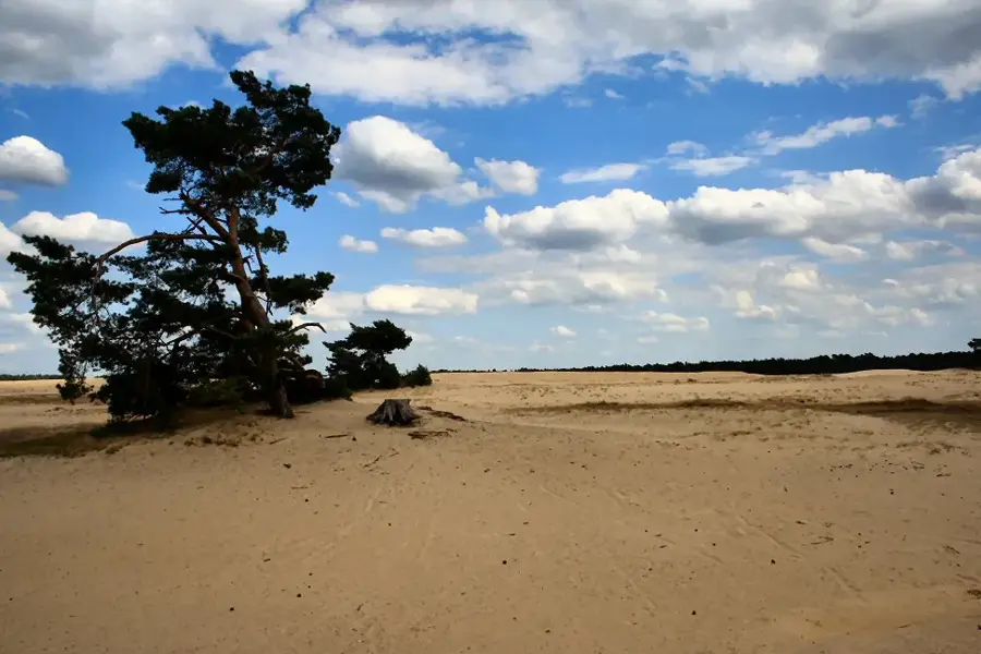 De Hoge Veluwe National Park — Hoge Veluwe (Netherlands)