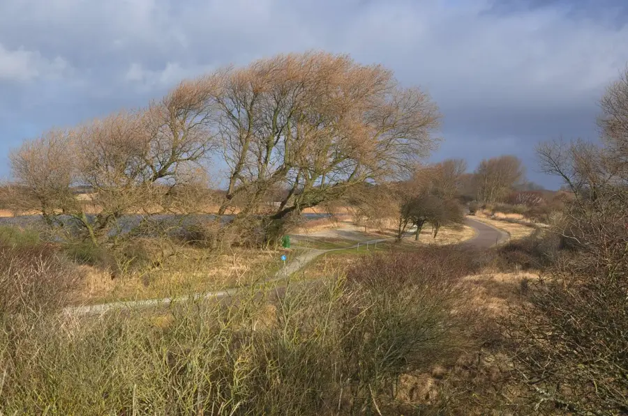 Meijendel