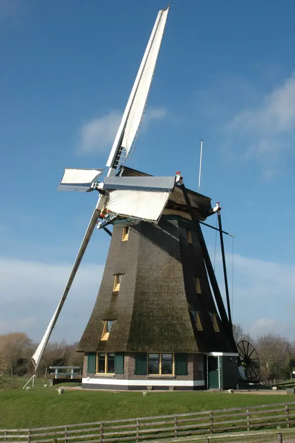 Blumenversteigerung Aalsmeer — Haarlem (Niederlande)