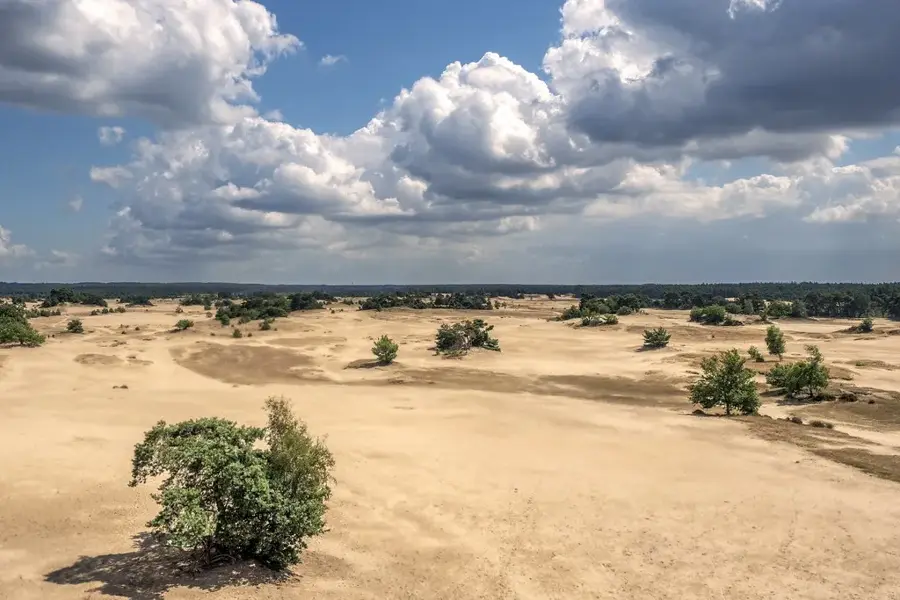 Kootwijkerzand — Hoge Veluwe (Netherlands)