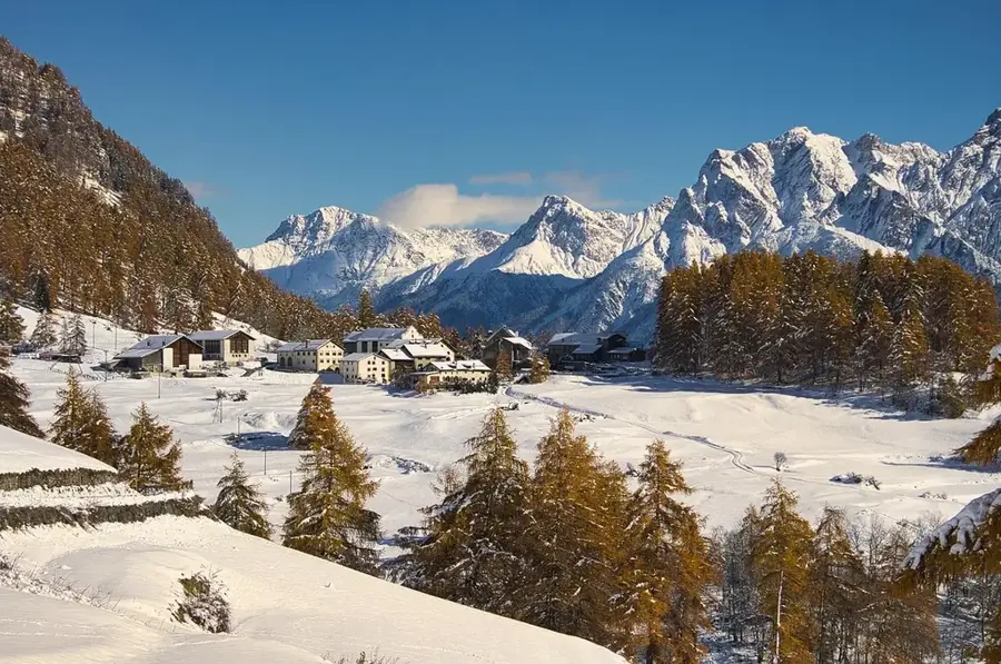 Salentse Bos – erdő