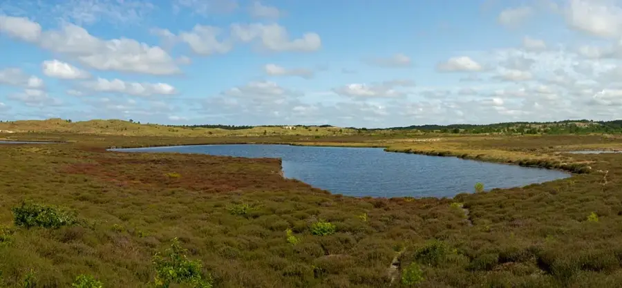 Schoorlse Duinen — Alkmaar (Netherlands)