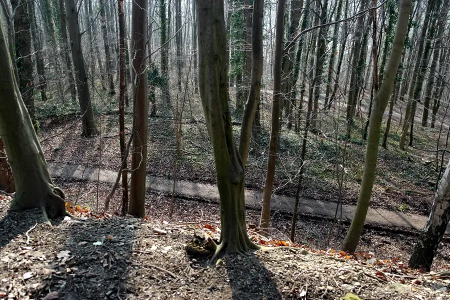 Sint-Pietersberg