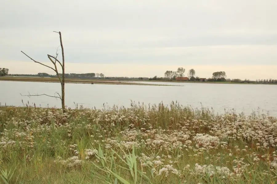 Waterdunen — Zwin (Netherlands)