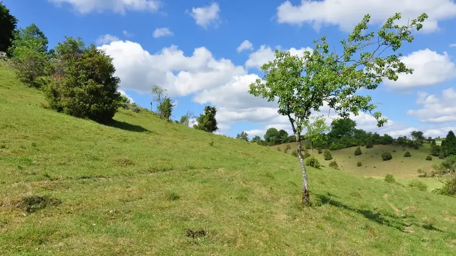 Zwin Nature Reserve — Zwin (Netherlands)