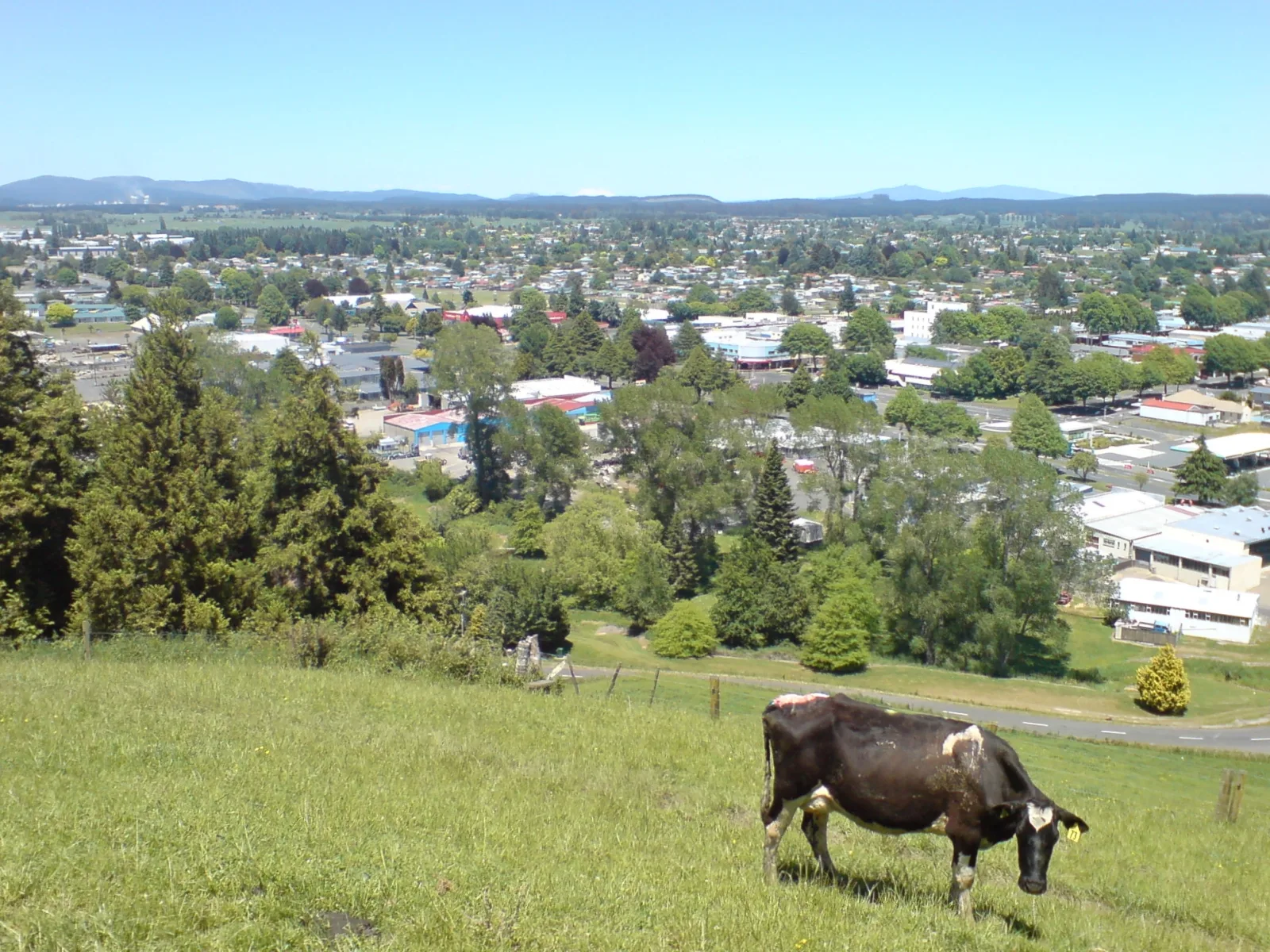 Tokoroa — Raglan (Neuseeland)