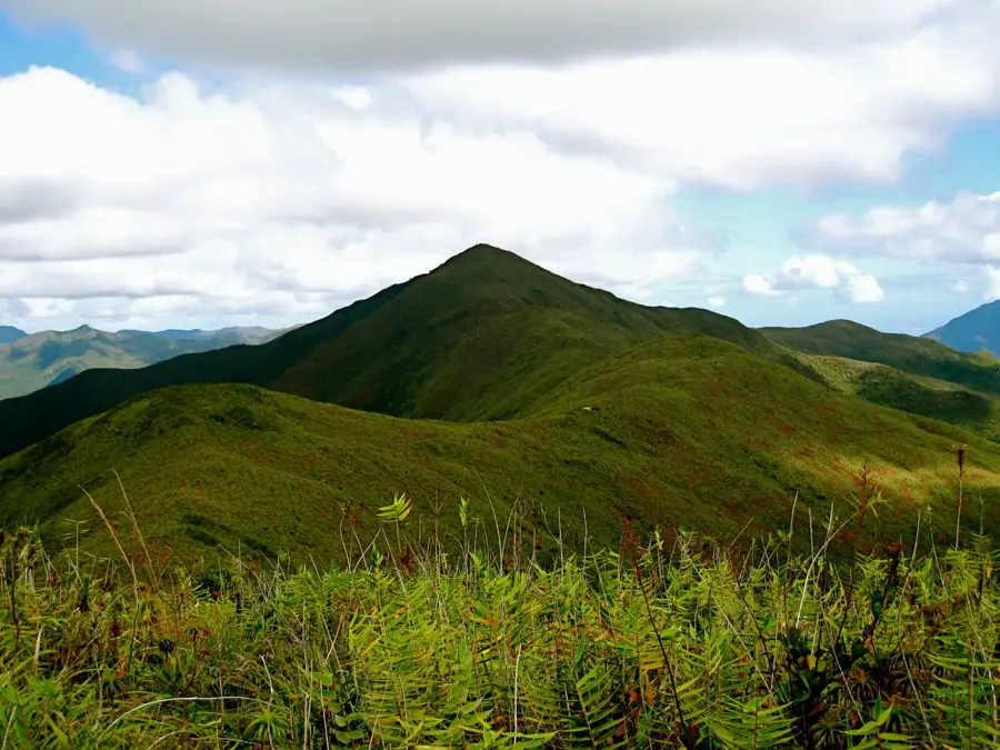Mont Panié