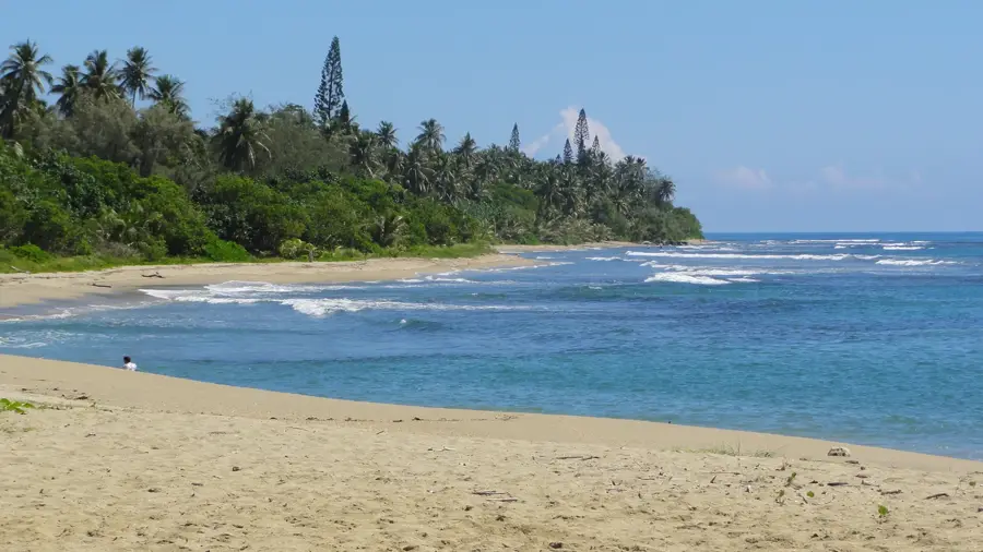 Poindimié Marine Reserve