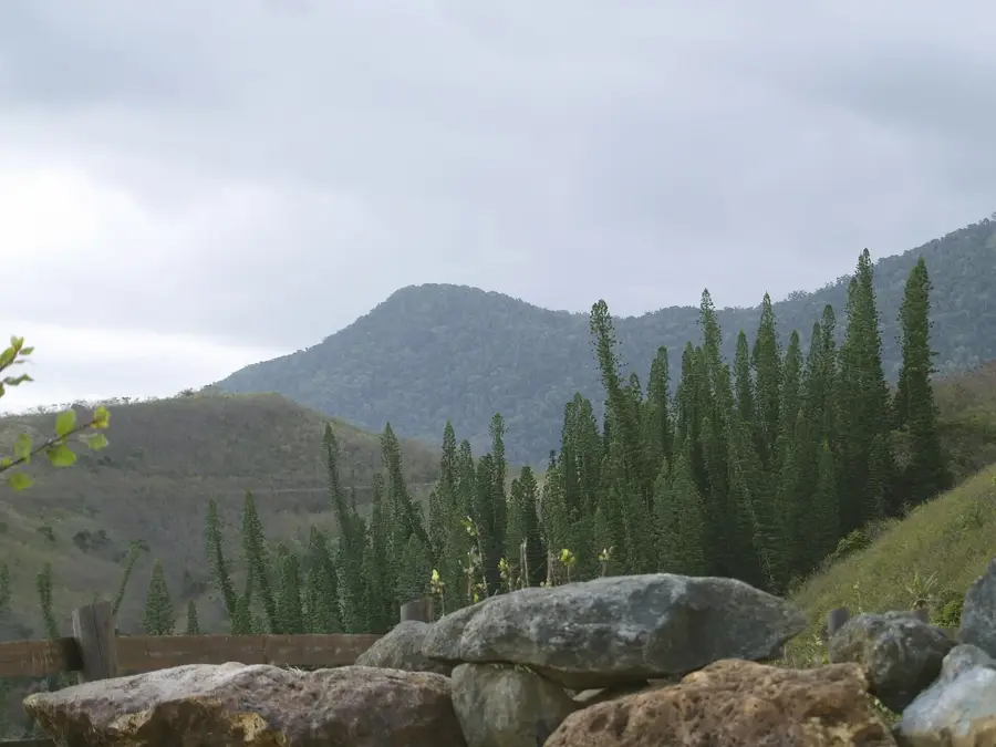 Turtle Bay Reserve