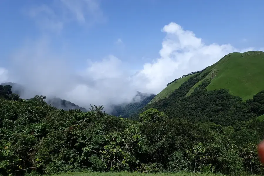 Cross-River Nationalpark — Cross-River-Tal (Nigeria)