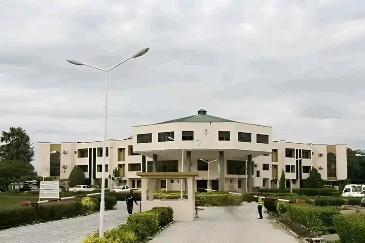 Mubi