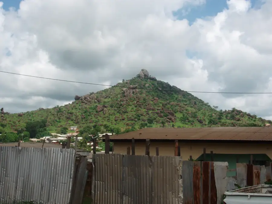 Ngaoundere marhatenyészet