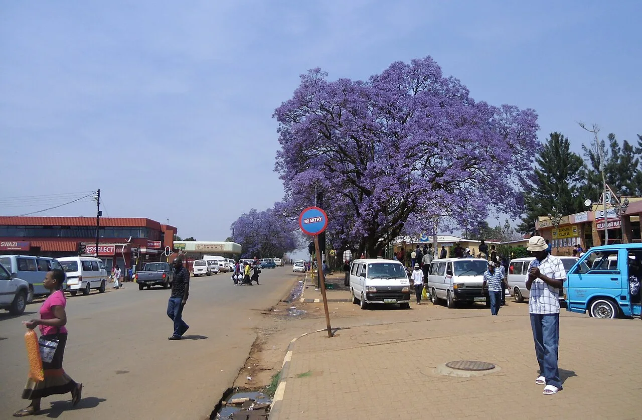 Centrul forestier Nhlangano — Abercorn (Eswatini)