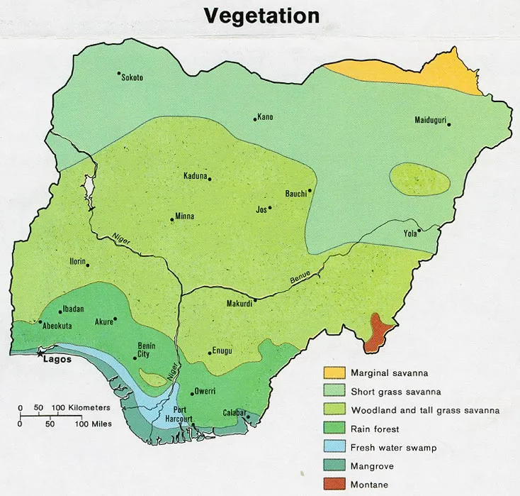 Nigerdelta-Mangroven — Yenagoa (Nigeria)