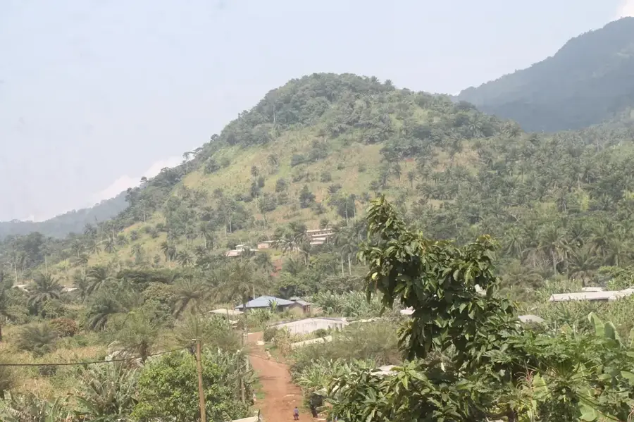 Nkam Lowland Forest — Ekom Falls (Cameroon)