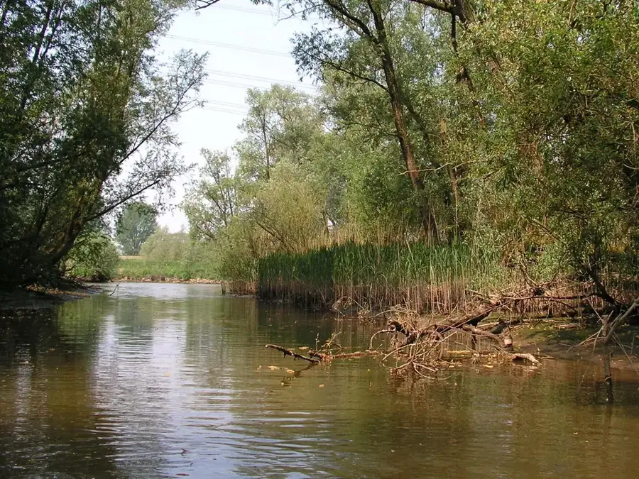 De Biesbosch — Efteling (Niederlande)