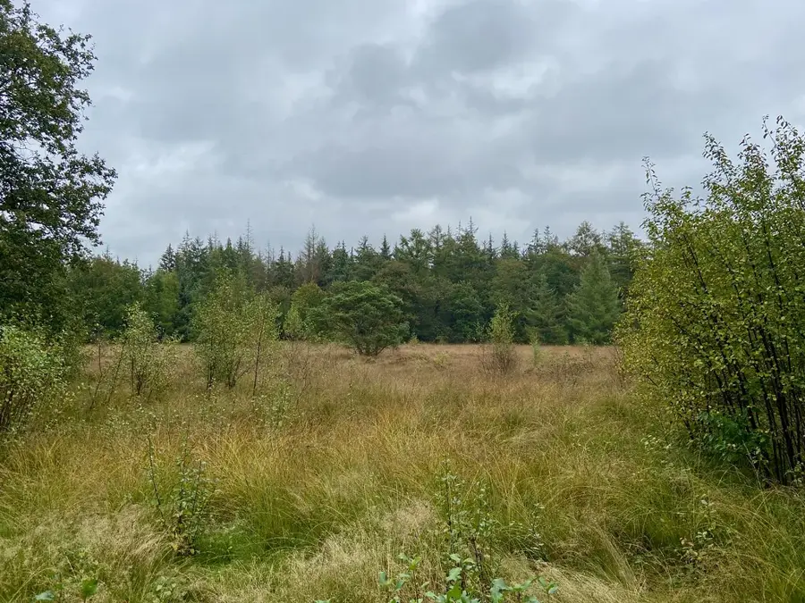 Hunebedden in Drenthe (Netherlands)