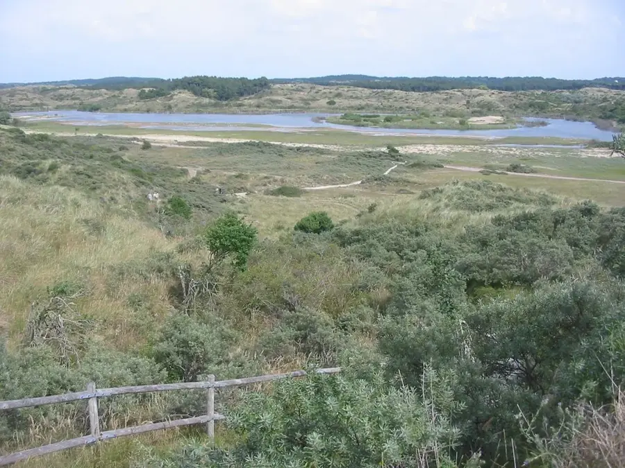 Nationalpark Zuid-Kennemerland — Haarlem (Niederlande)