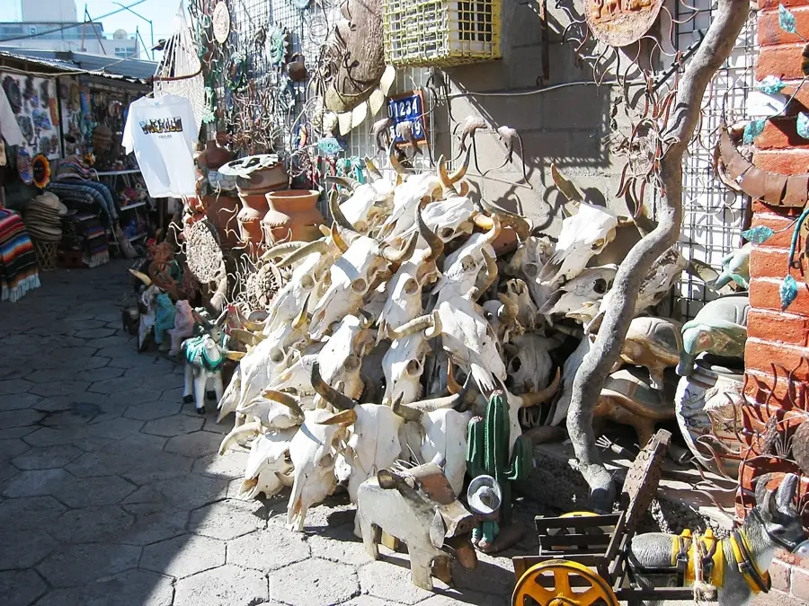Nogales — Tiburon sziget (Mexikó)