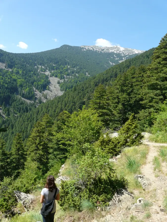 Peliszter Nemzeti Park