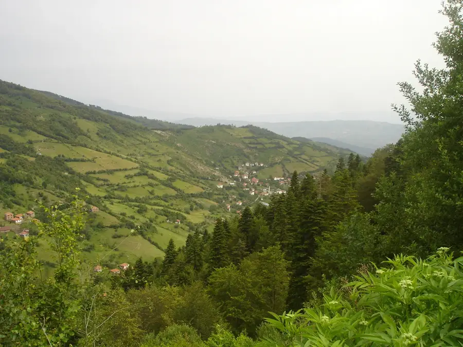 Crn Vrv — Gjilan (Kosovo)