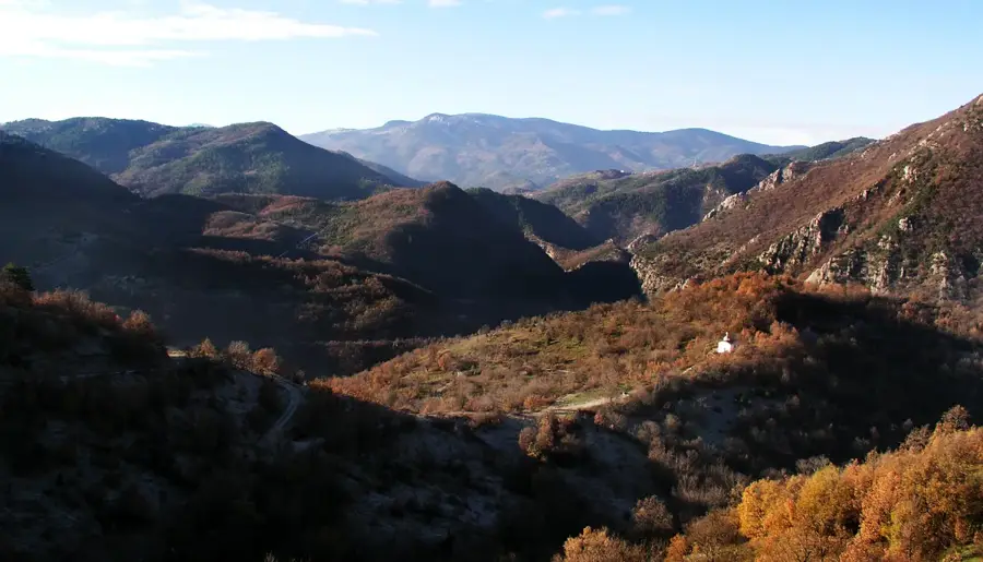 Koprivnica Forest — Antigoneia (North Macedonia)
