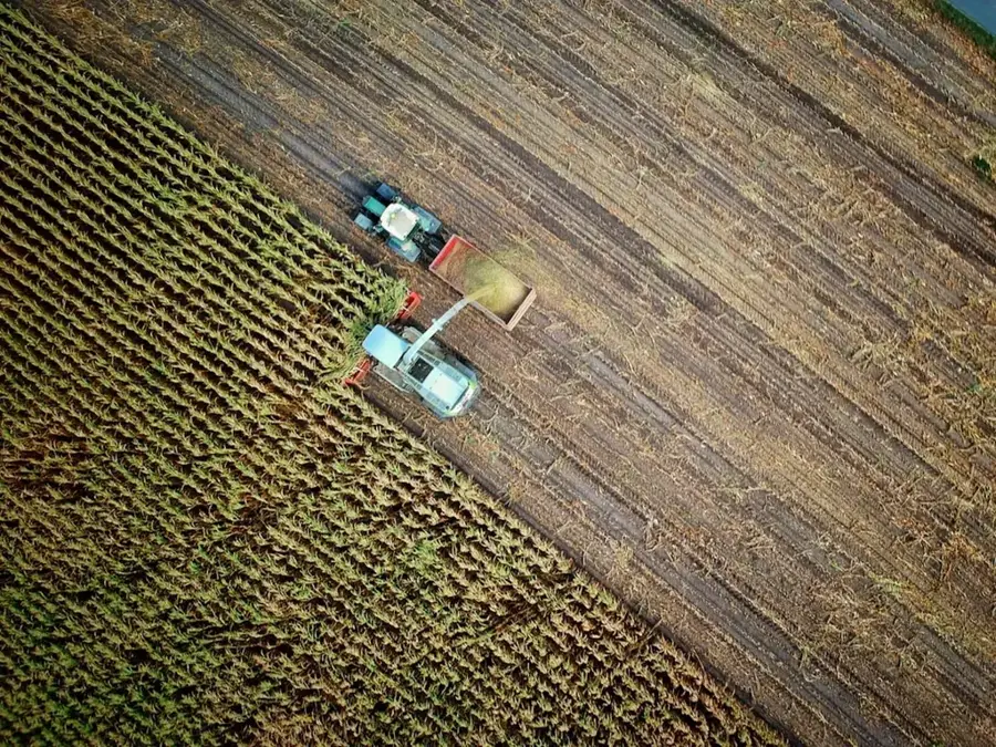Vasilevo Farming Economy — Zrnovska River (North Macedonia)