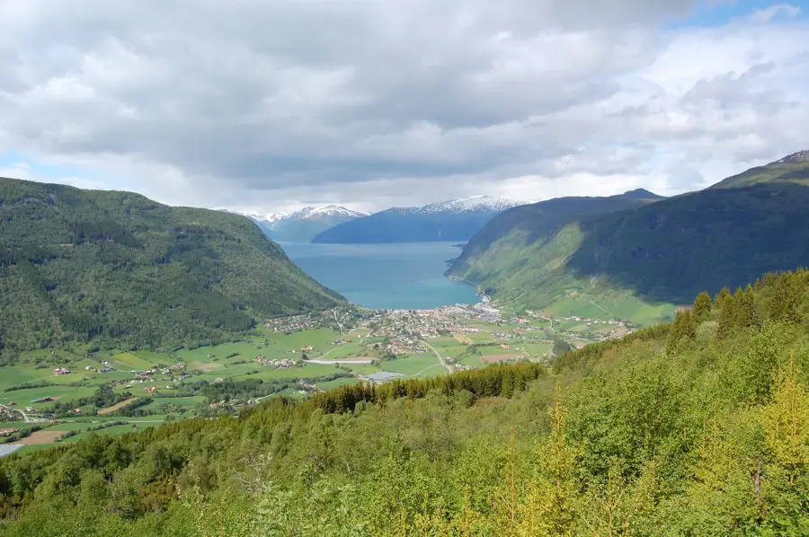 Vik