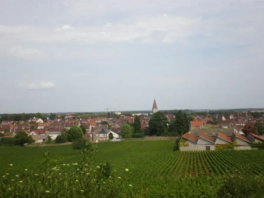Nuits-Saint-Georges – city