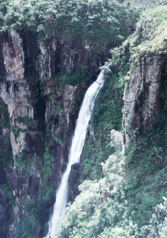 Valea Nyanga