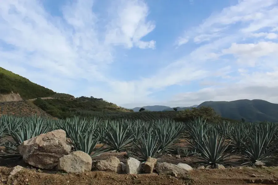 Oaxaca de Juárez — La Ventanilla (Mexiko)