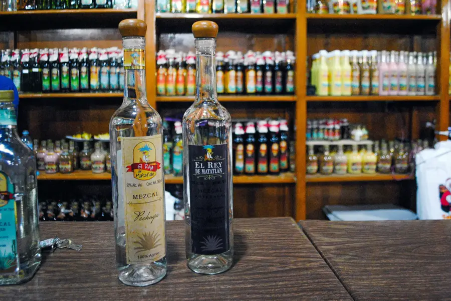 Mezcal-Agave in Oaxaca — La Ventanilla (Mexiko)