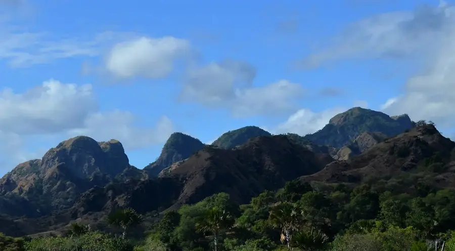 Oecusse Sandalwood Forests