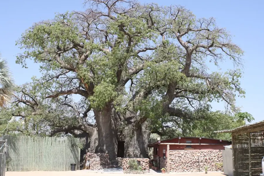 Okahao