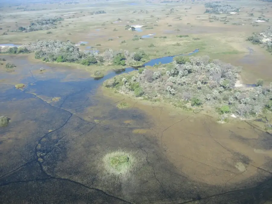 Okavango-Delta
