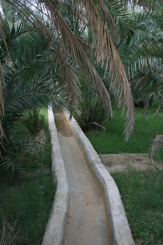 Saiq-Plateau — Adam (Oman)