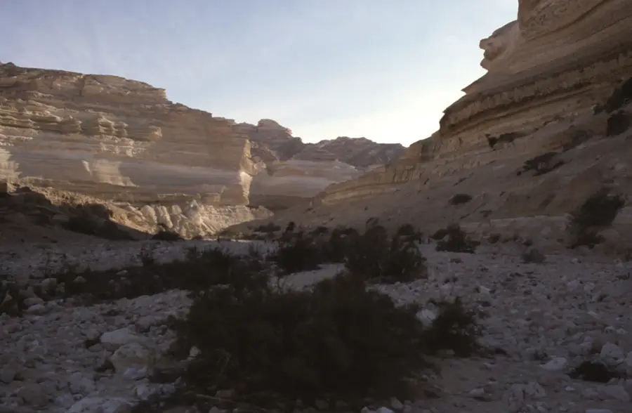 Wadi Ash Shuwaymiyyah — Taqah (Oman)