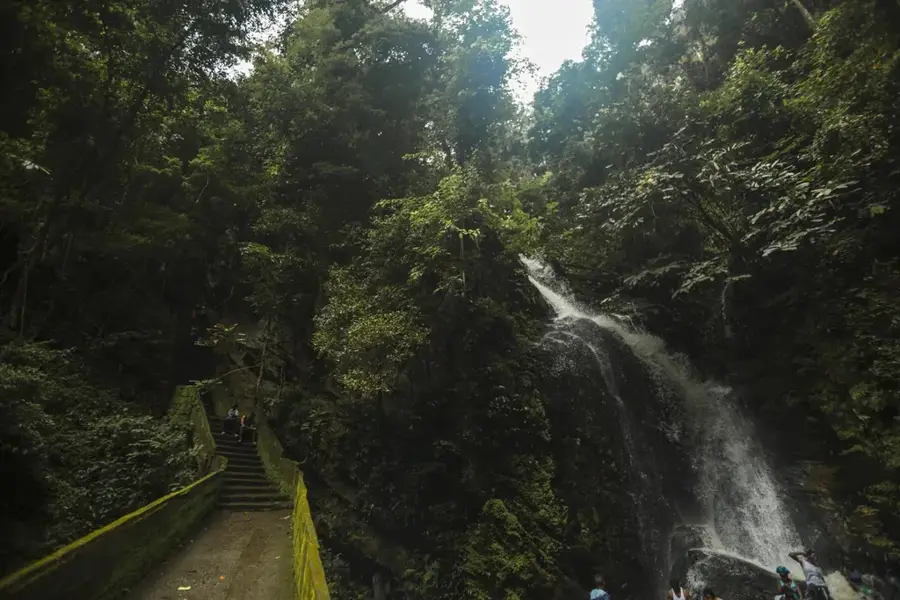 Osun-Wald
