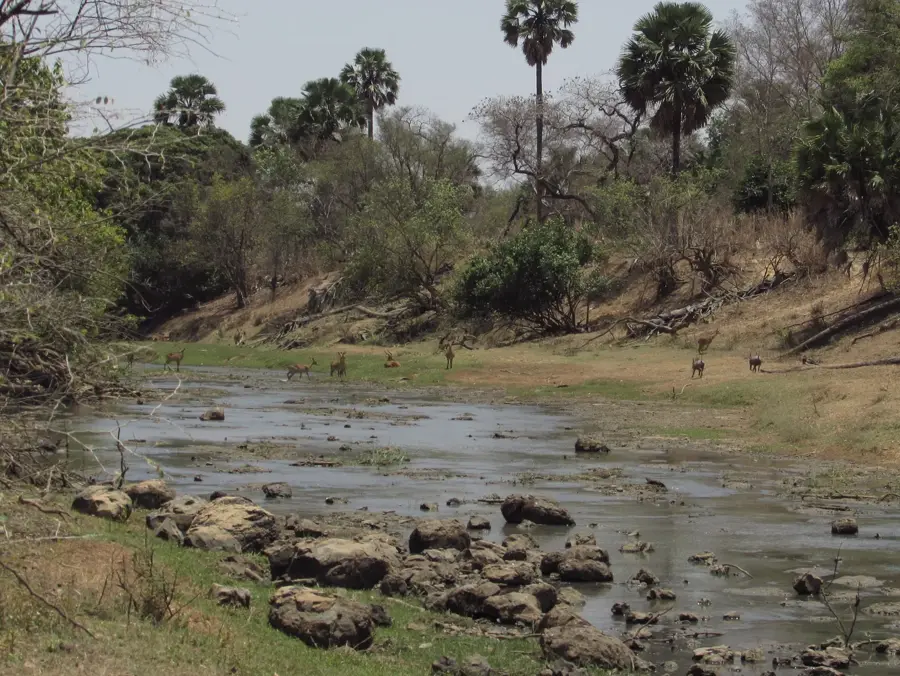 Oti (Ghana)