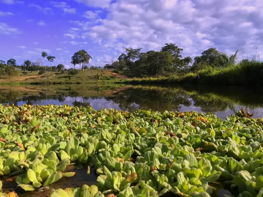 Otuquis National Park — Tucabaca Valley Reserve (Bolivia)